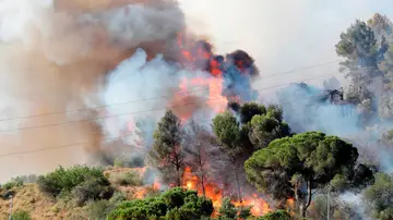 El incendio de Cap de Creus ha quemado ya 500 hectáreas y su origen podría ser una colilla El incendio de Cap de Creus ha quemado ya 500 hectáreas y su origen podría ser una colilla