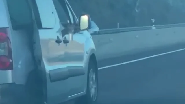 Ofrece un vaso con bebida a otro conductor en plena autopista del sur de Tenerife Ofrece un vaso con bebida a otro conductor en plena autopista del sur de Tenerife