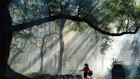 Xiapu Instagram Xiapu Instagram