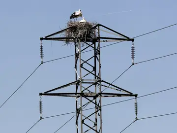 Julio termina siendo el mes con el precio de la luz más alto de la historia Julio termina siendo el mes con el precio de la luz más alto de la historia