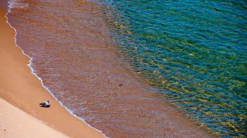 Los recursos del planeta se han agotado para este año Los recursos del planeta se han agotado para este año