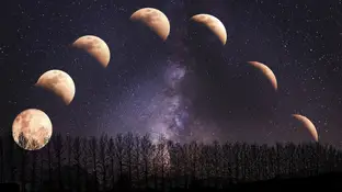 Calendario lunar, fases de la luna Calendario lunar, fases de la luna