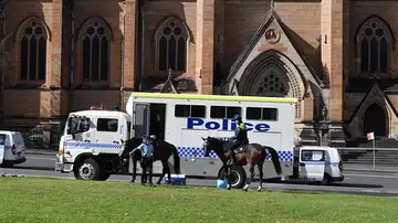 Efectivos de policía en Brisbane Efectivos de policía en Brisbane