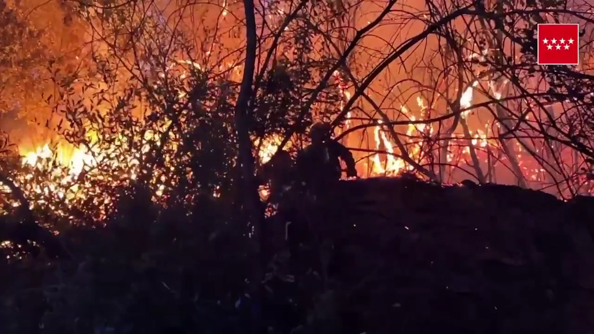 Declarado un incendio forestal junto al embalse de San Juan en Madrid