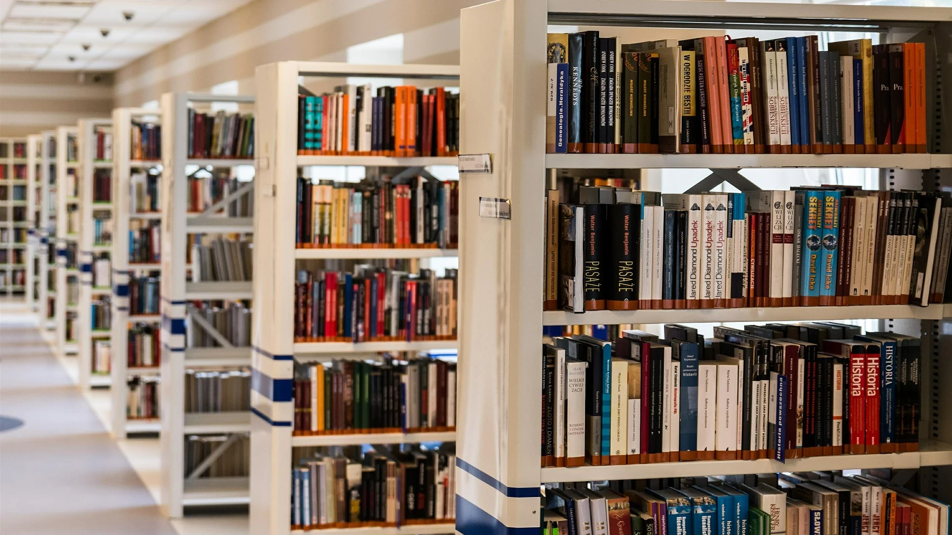 Biblioteca con libros
