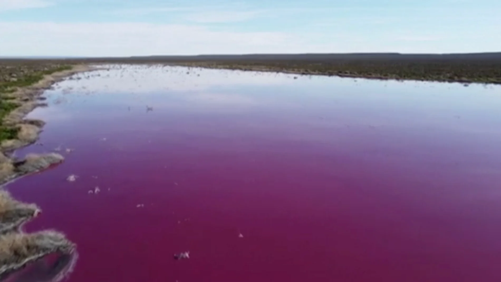Dos lagunas quedan cubiertas de rosa en la Patagonia Argentina. 