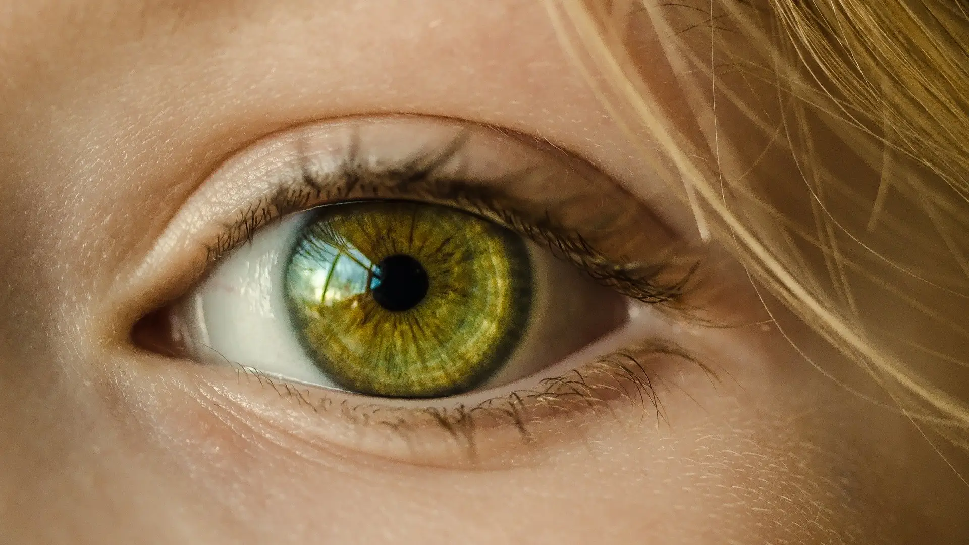 Ojo de color verde