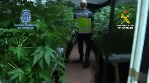 Cae una red dedicada al tráfico de estupefacientes que se valía de un coche VTC para burlar las restricciones Cae una red dedicada al tráfico de estupefacientes que se valía de un coche VTC para burlar las restricciones