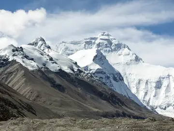 Hayan en un glaciar tibetano restos de virus de hace 15.000 años que podrían ayudar a predecir el cambio climático Hayan en un glaciar tibetano restos de virus de hace 15.000 años que podrían ayudar a predecir el cambio climático