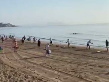 Guerra entre los bañistas por la primera línea de playa en Oropesa del Mar (Castellón)