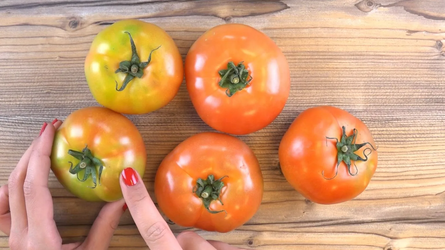 Tomates