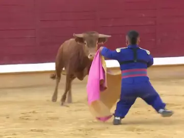 El Gobierno pide cancelar el espectáculo del 'bombero torero' en Badajoz: "Denigra a la personas con discapacidad" El Gobierno pide cancelar el espectáculo del 'bombero torero' en Badajoz: "Denigra a la personas con discapacidad"