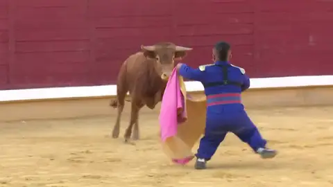 El Gobierno pide cancelar el espectáculo del 'bombero torero' en Badajoz: "Denigra a la personas con discapacidad" El Gobierno pide cancelar el espectáculo del 'bombero torero' en Badajoz: "Denigra a la personas con discapacidad"
