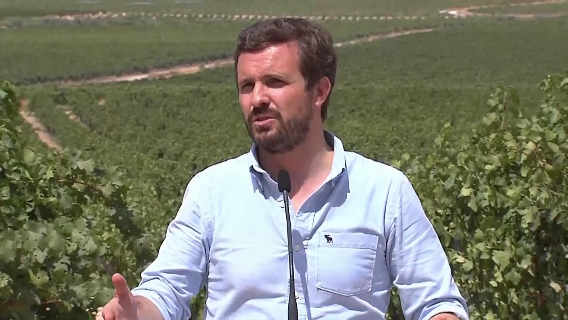 Casado apoya a Sánchez en la evacuación de Afganistán pero cree que ha llegado tarde con la interlocución con Estados Unidos Casado apoya a Sánchez en la evacuación de Afganistán pero cree que ha llegado tarde con la interlocución con Estados Unidos