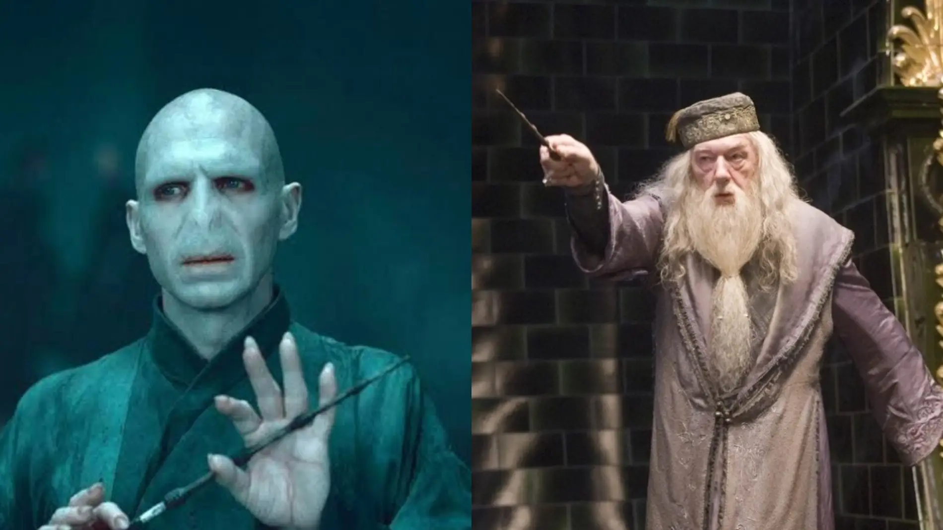 Voldemort y Dumbledore