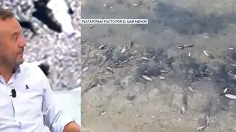 Roberto Brasero explica el problema del Mar Menor Roberto Brasero explica el problema del Mar Menor