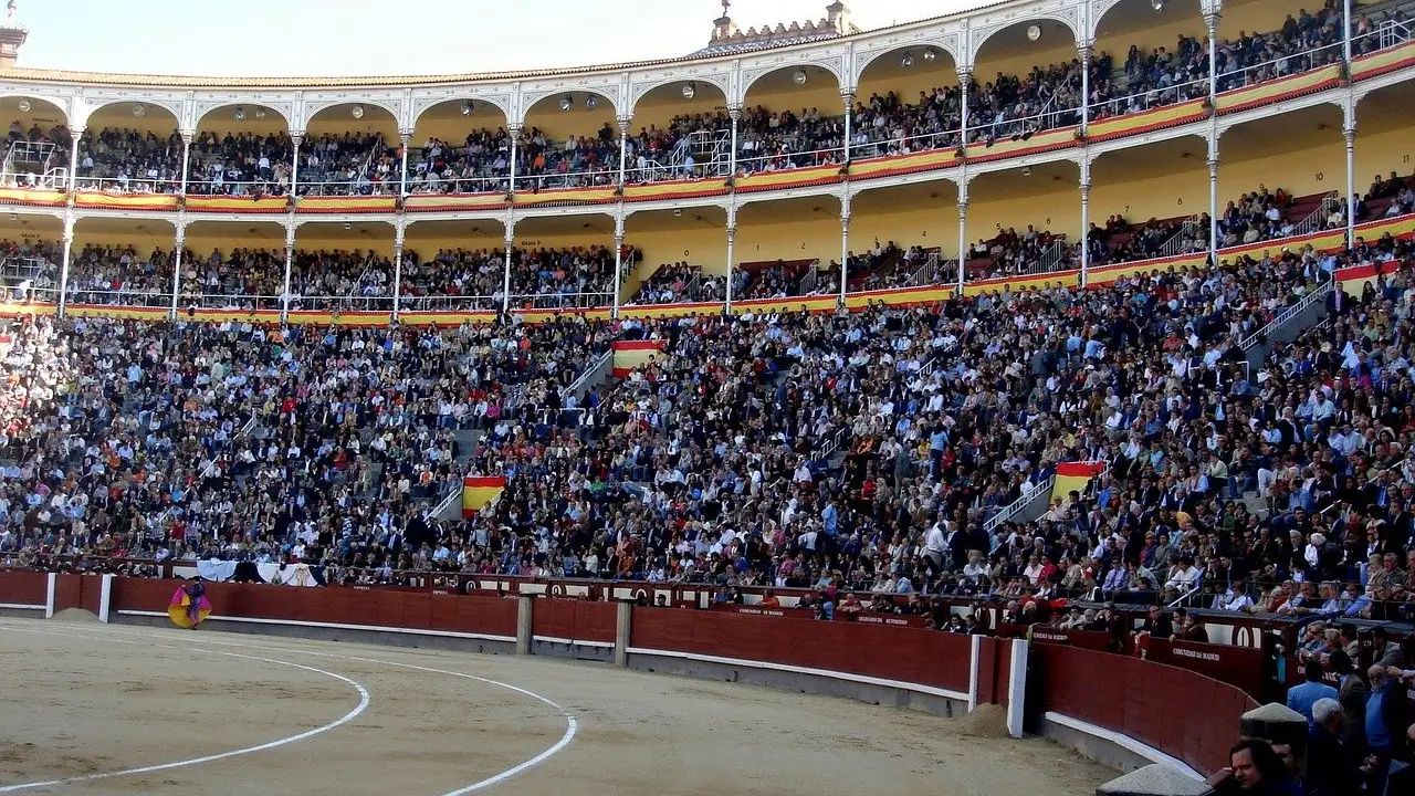 VOX se querella contra la consejera de Igualdad en la Junta de Andalucía por prohibir un espectáculo cómico taurino VOX se querella contra la consejera de Igualdad en la Junta de Andalucía por prohibir un espectáculo cómico taurino