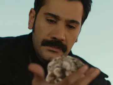 A Demir le toca mover ficha y destruye toda la producción de algodón A Demir le toca mover ficha y destruye toda la producción de algodón
