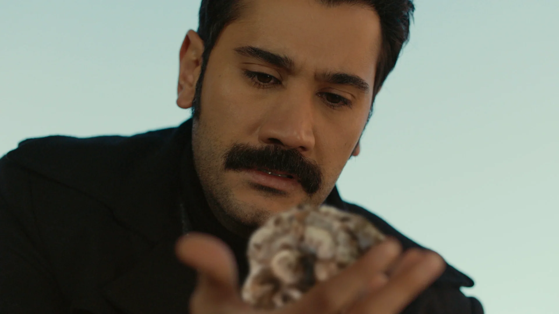 A Demir le toca mover ficha y destruye toda la producción de algodón El heredero de los Yaman hunde a Yilmaz y Fekeli en su nuevo negocio.