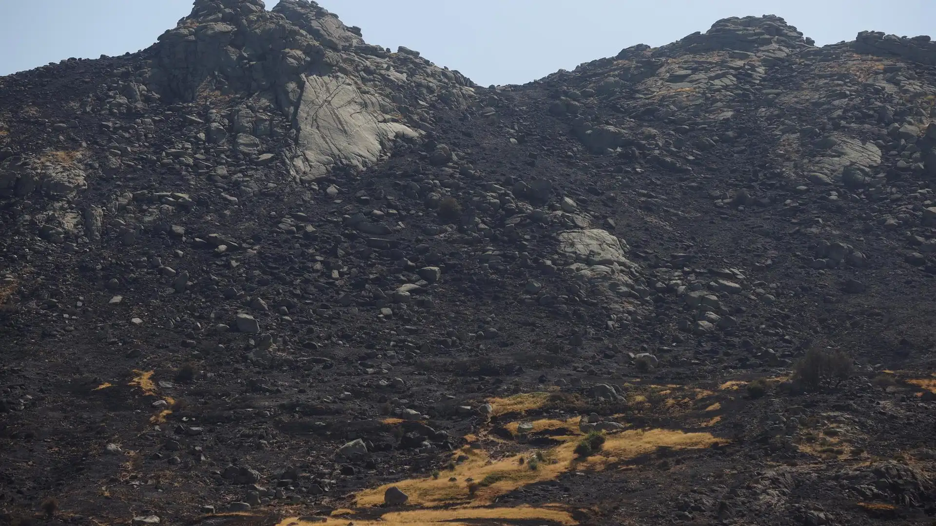 El Gobierno declarará hoy zona catastrófica Navalacruz y otras localidades que han sufrido incendios El Gobierno declarará hoy zona catastrófica Navalacruz y otras localidades que han sufrido incendios