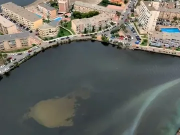 La bolsa anóxica que mancha el mar menor La bolsa anóxica que mancha el mar menor