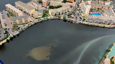 La bolsa anóxica que mancha el mar menor La bolsa anóxica que mancha el mar menor