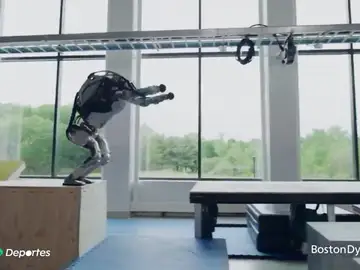 robots robots