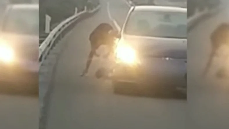 Detenido por la muerte de un hombre abandonado en una autovía de Almería Detenido por la muerte de un hombre abandonado en una autovía de Almería