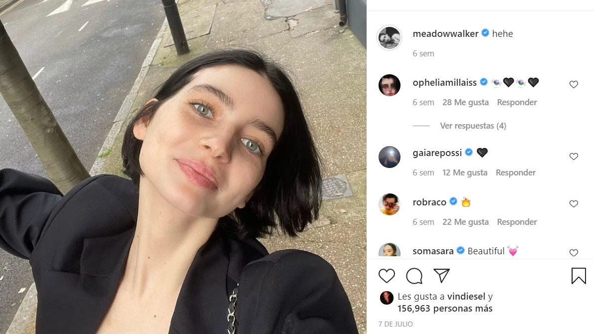 Meadow Walker Meadow Walker