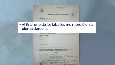 Un vecino denuncia al Ayuntamiento de Barcelona por la mordedura de un jabalí Un vecino denuncia al Ayuntamiento de Barcelona por la mordedura de un jabalí
