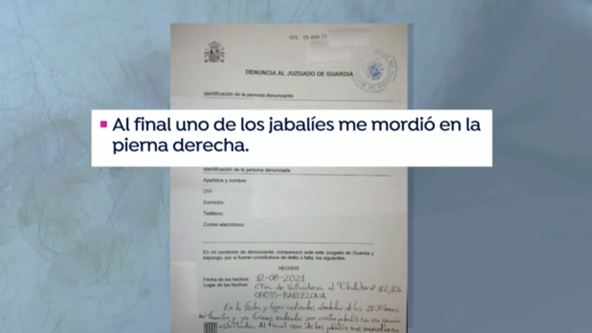 Un vecino denuncia al Ayuntamiento de Barcelona por la mordedura de un jabal&iacute;
