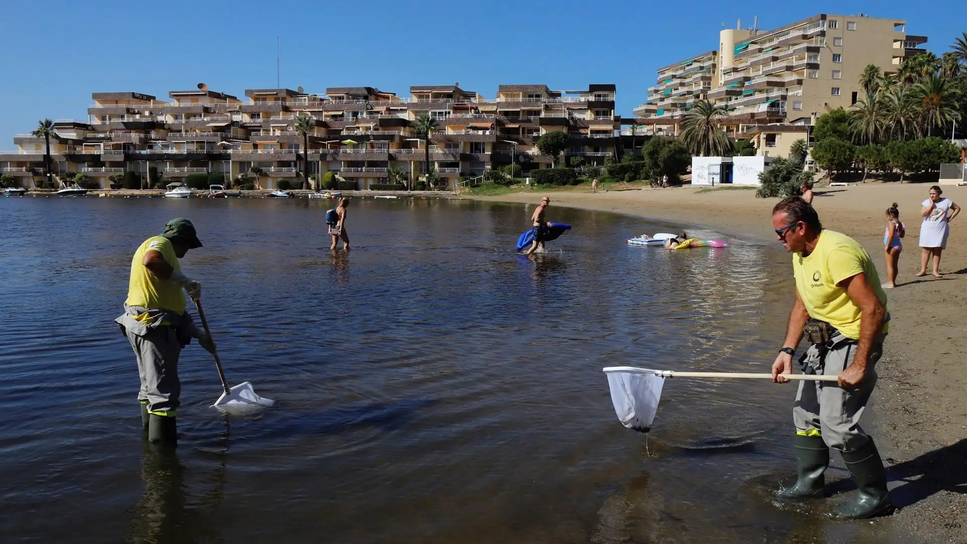 El Gobierno propone crear un 'cinturón verde' para salvar el Mar Menor El Gobierno propone crear un 'cinturón verde' para salvar el Mar Menor