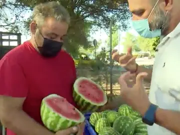 La guerra de la sandia La guerra de la sandia