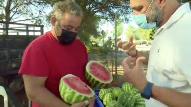 La guerra de la sandía: esta fruta se encarece un 600% del campo a la mesa