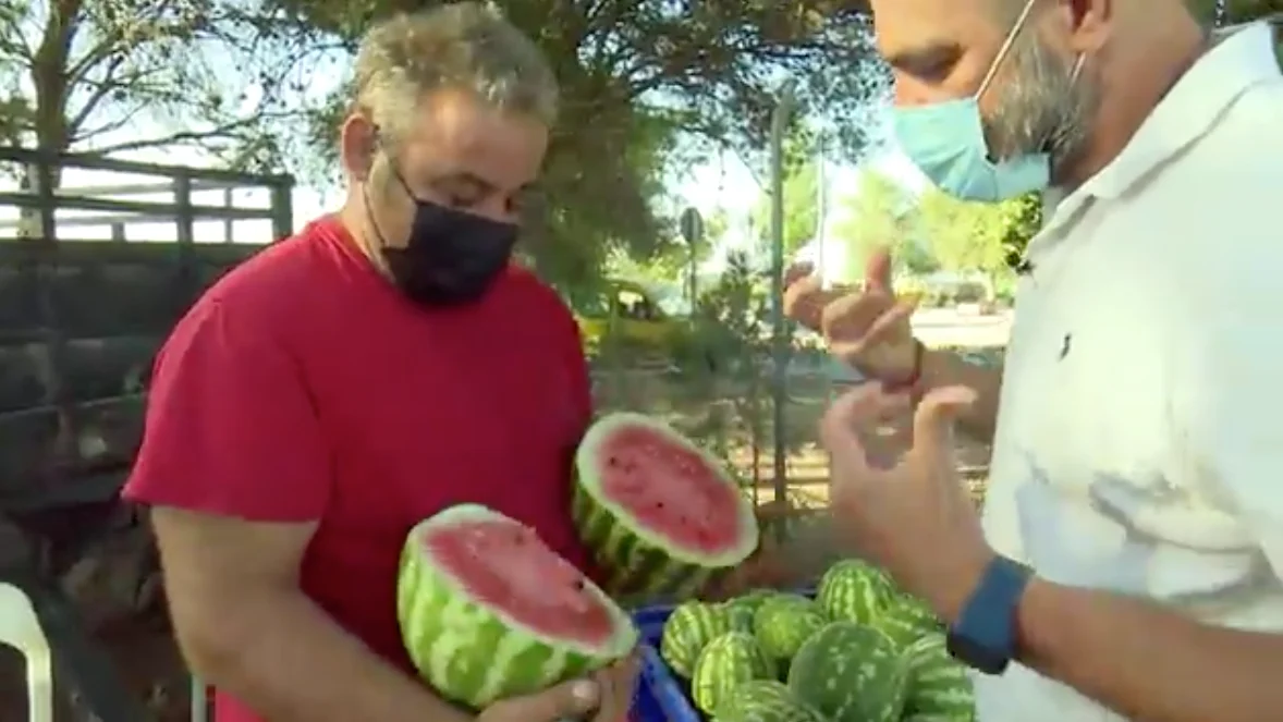 La guerra de la sandia La guerra de la sandia