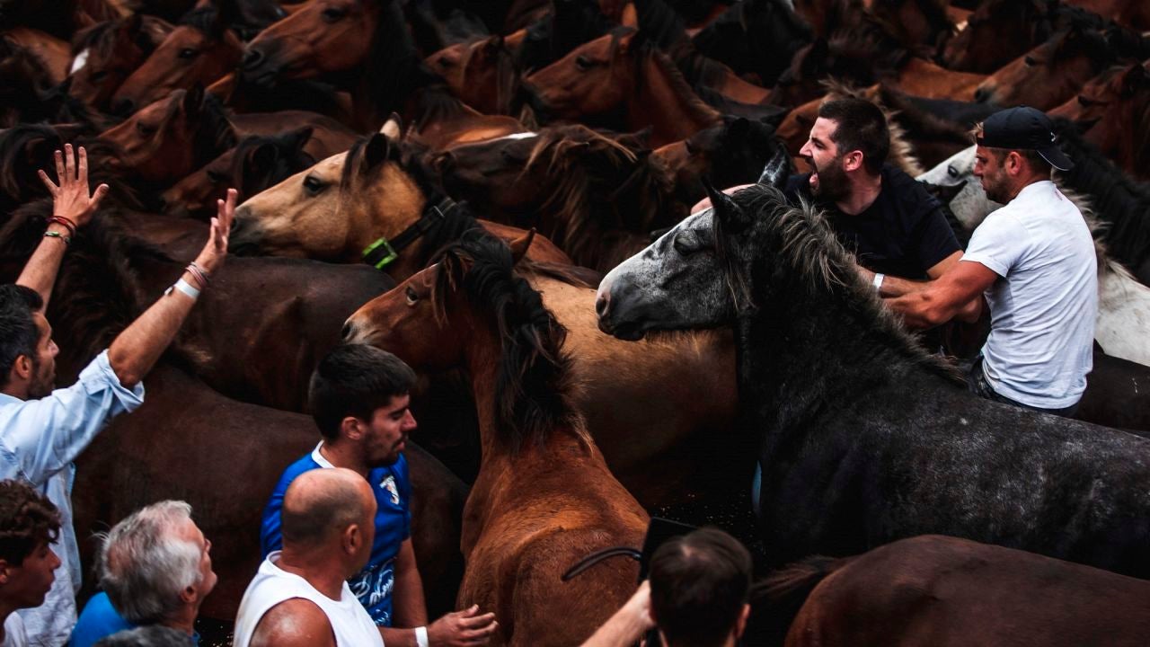 Vuelve Rapa das Bestas a Sabucedo tras el parón por el coronavirus - Vimarsana News