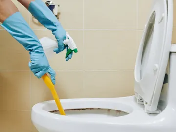 Limpieza de inodoro Limpieza de inodoro