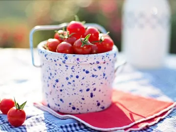 11 básicos que no te pueden faltar para comenzar con un huerto urbano 11 básicos que no te pueden faltar para comenzar con un huerto urbano