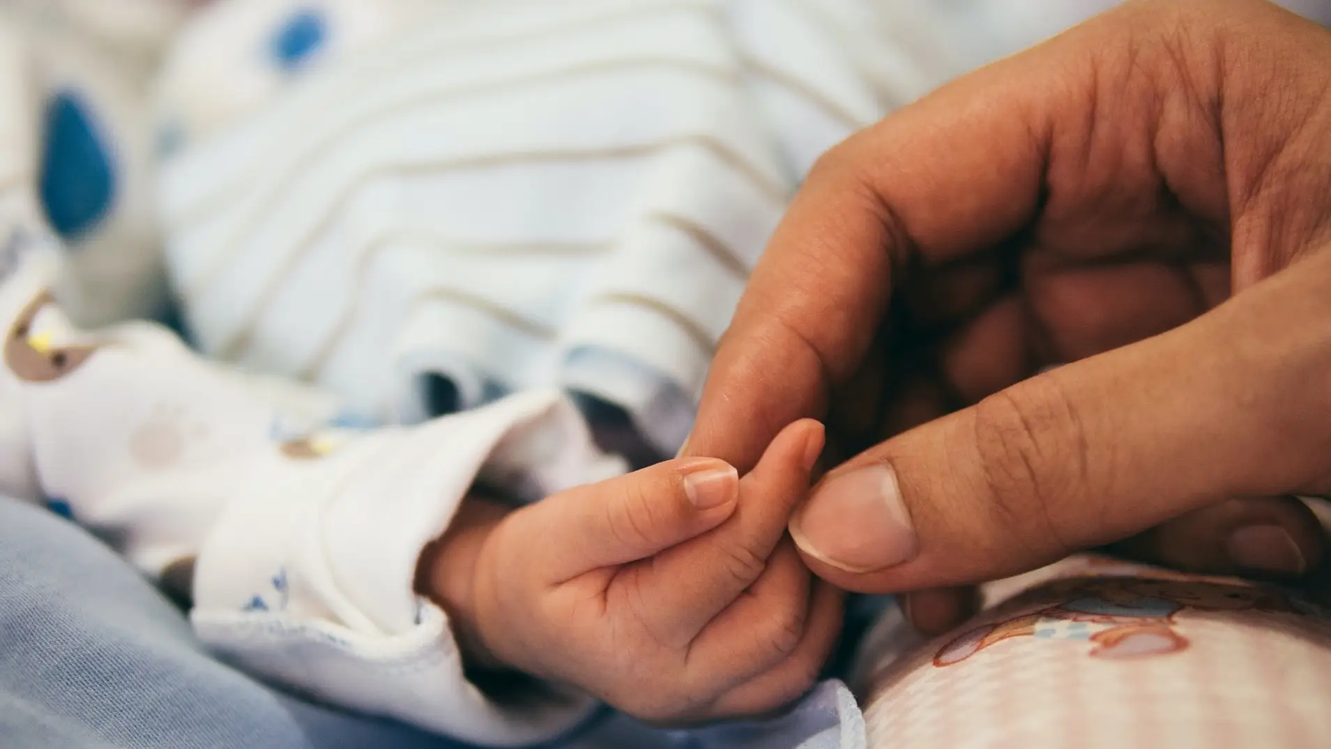 La mano de un bebé y la de una mujer. La mano de un bebé y la de una mujer.