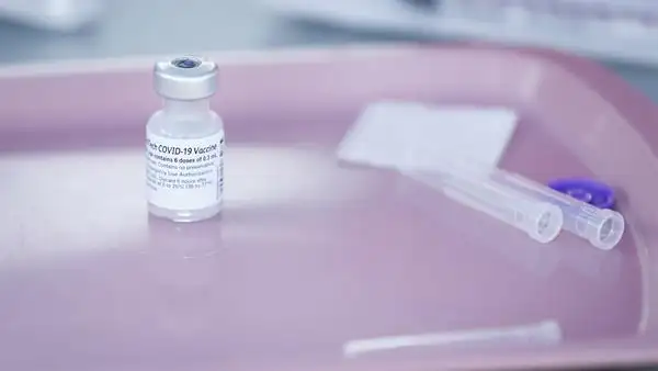 Así es la nueva variante del coronavirus "muy mutante" Así es la nueva variante del coronavirus "muy mutante"