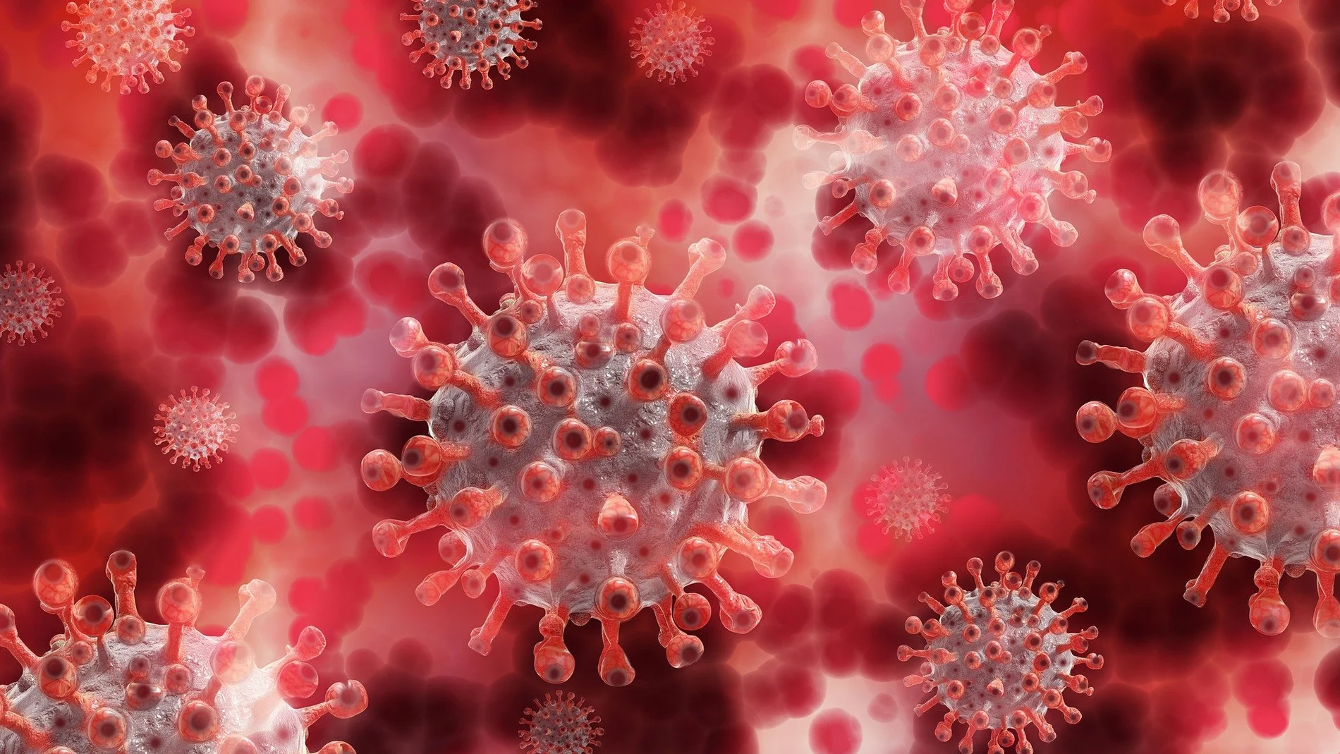 La OMS vigila la nueva variante del coronavirus 'Mu', más resistente a las  vacunas