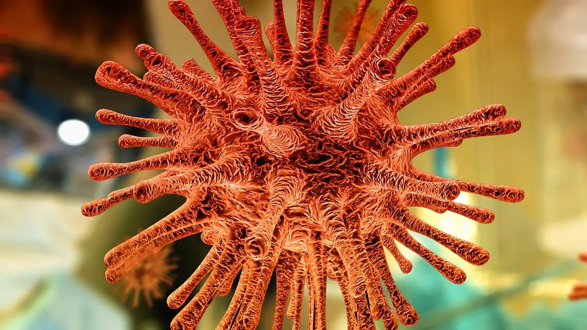 La OMS vigila la nueva variante del coronavirus 'Mu', más resistente a las vacunas La OMS vigila la nueva variante del coronavirus 'Mu', más resistente a las vacunas