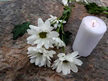 Flor y una vela Flor y una vela