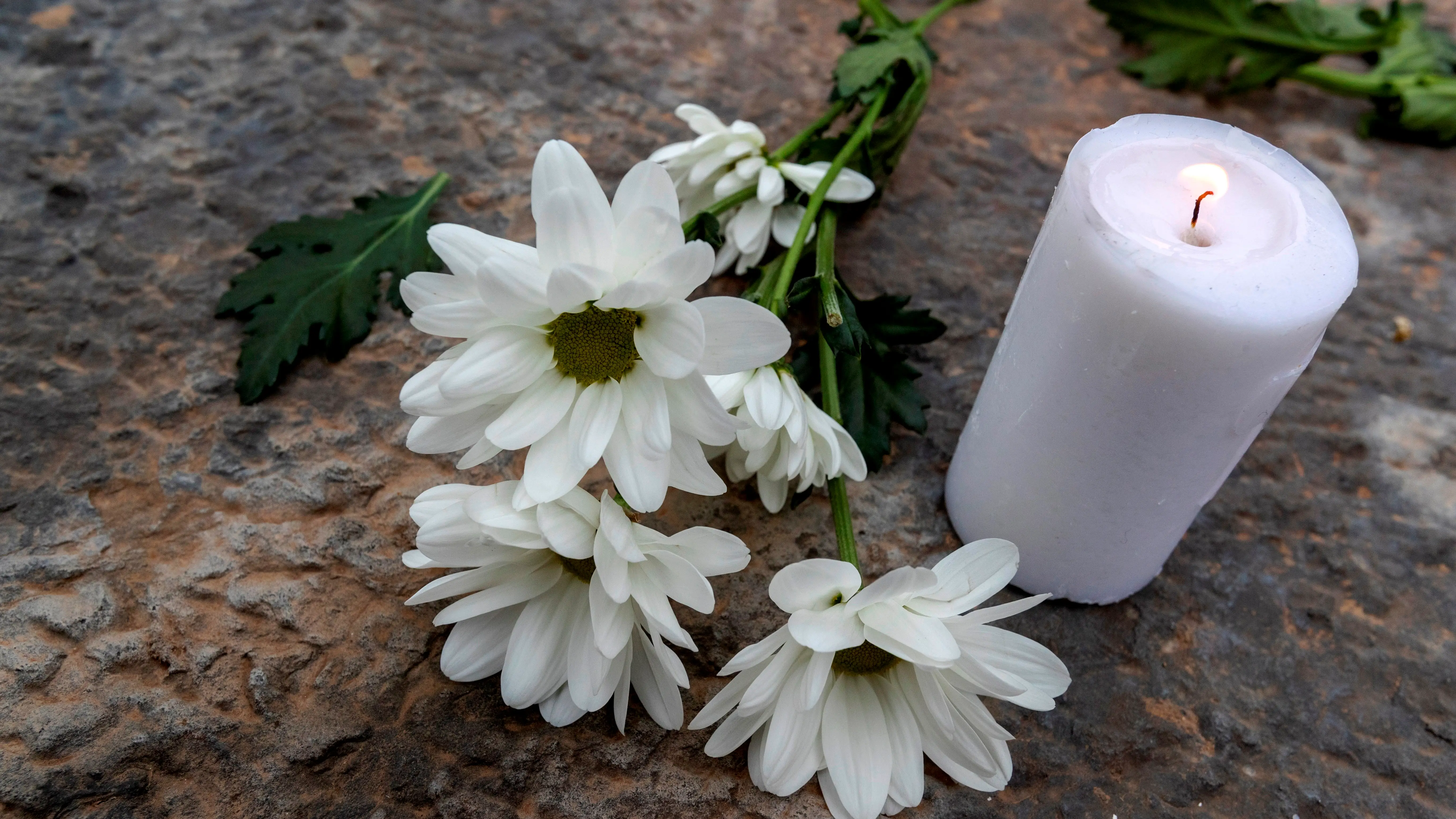 Flor y una vela Flor y una vela