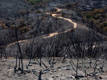 Las condiciones que dificultan la extinción del incendio de Málaga