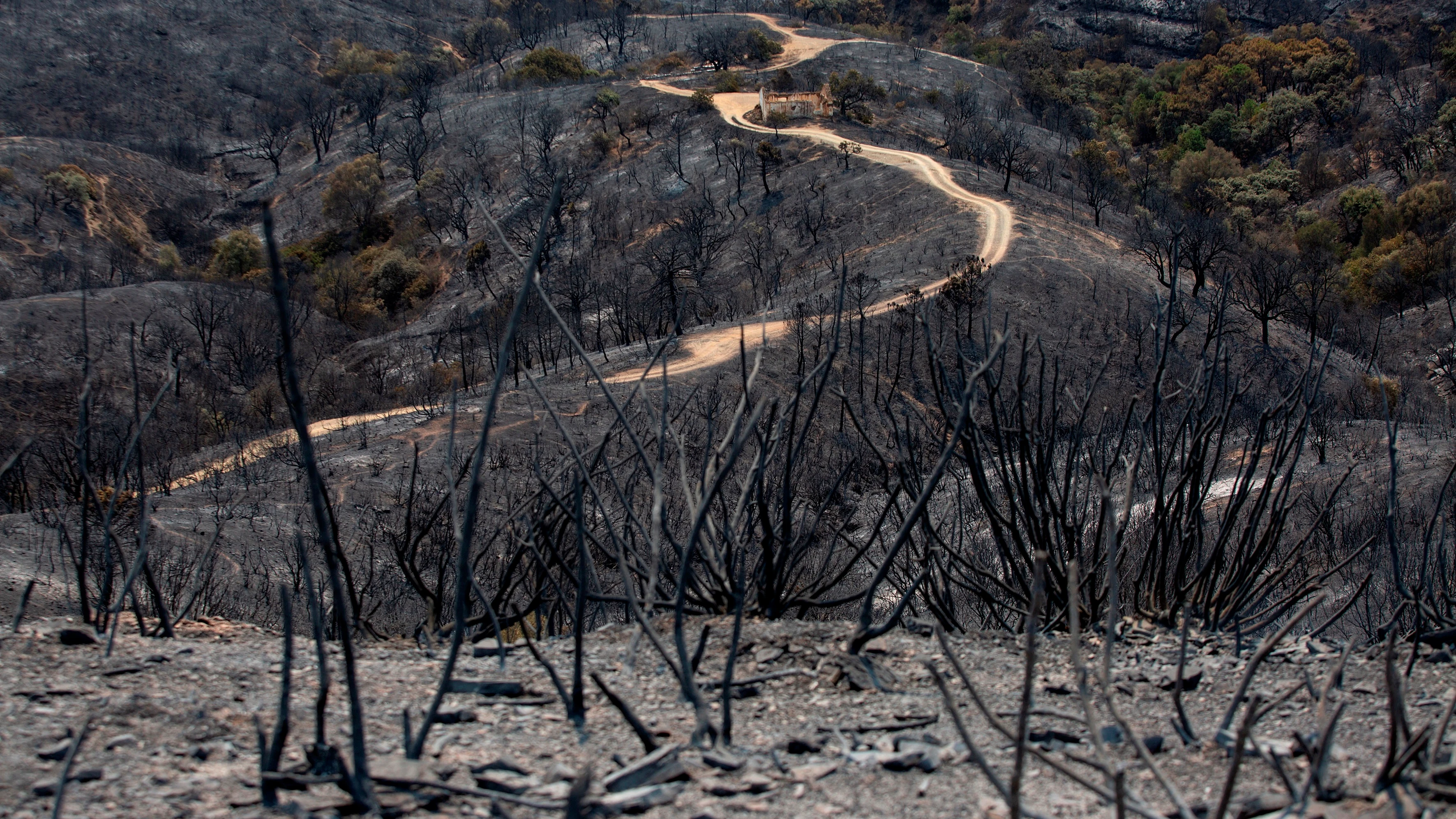 Las condiciones que dificultan la extinción del incendio de Málaga Las condiciones que dificultan la extinción del incendio de Málaga
