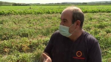 El campo agoniza en España: 