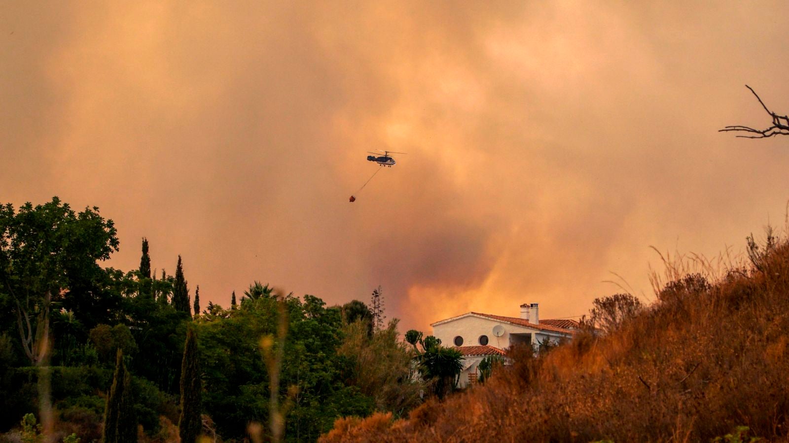 El incendio en Sierra Bermeja, Málaga, sigue descontrolado, ya hay más de 1.000 desalojados y 5.000 hectáreas calcinadas 