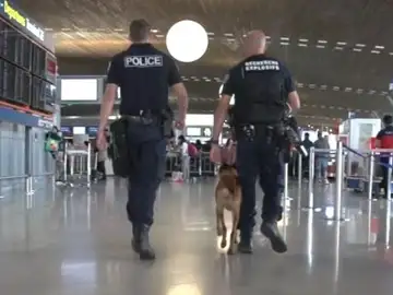 Así cambiaron los atentados del 11-S la forma de viajar y la seguridad en los aeropuertos Así cambiaron los atentados del 11-S la forma de viajar y la seguridad en los aeropuertos