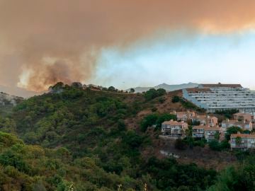 Una de las zonas afectadas por el incendio en Sierra Bermeja, en Málaga